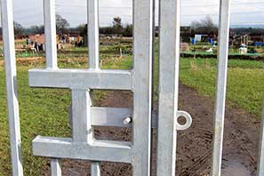Allotment 11-2-11
